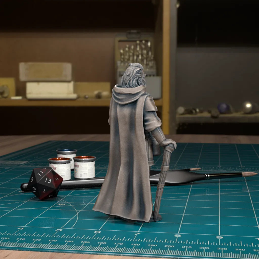 CoS Davian Martkov | D&D TTRPG Mini | TytanTroll Miniatures