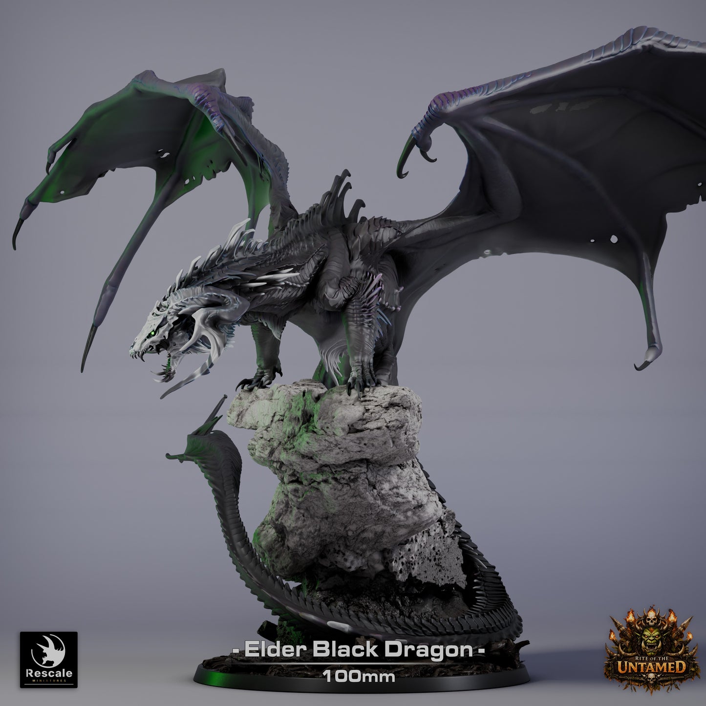 Black Dragon Elder | D&D TTRPG Mini | Rescale Miniatures