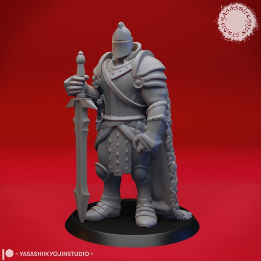 Armored Fighter | TABLETOP SCALE | D&D TTRPG Monster Miniature | Yasashii Kyojin Studio