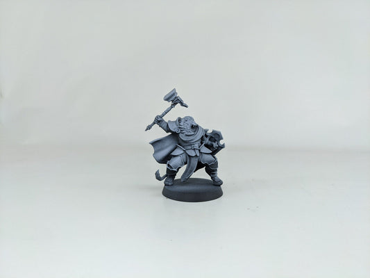 Lionfolk | TABLETOP SCALE | TTRPG D&D Miniature | Manuel Boria | Unpainted, Unplated Resin 8k