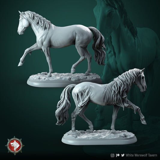 Ghost Horse | TABLETOP SCALE | D&D TTRPG Miniature | White Werewolf Tavern