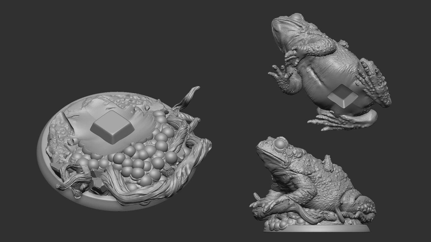 Mother of Froggles | TABLETOP SCALE | TTRPG Miniature | White Werewolf Tavern