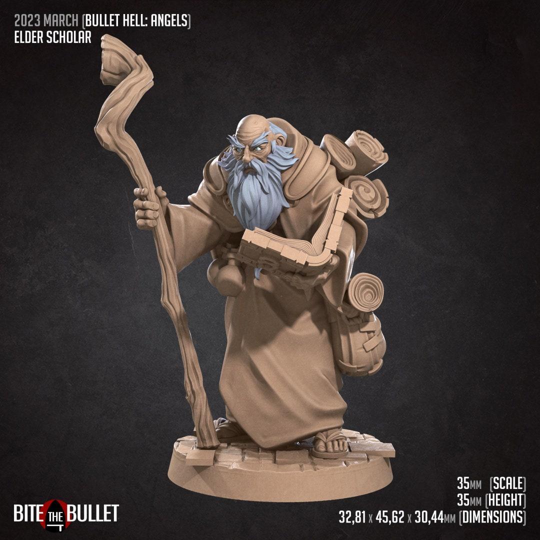 Bullet Hell, Elder Scholar | D&D TTRPG Miniature | Bite the Bullet
