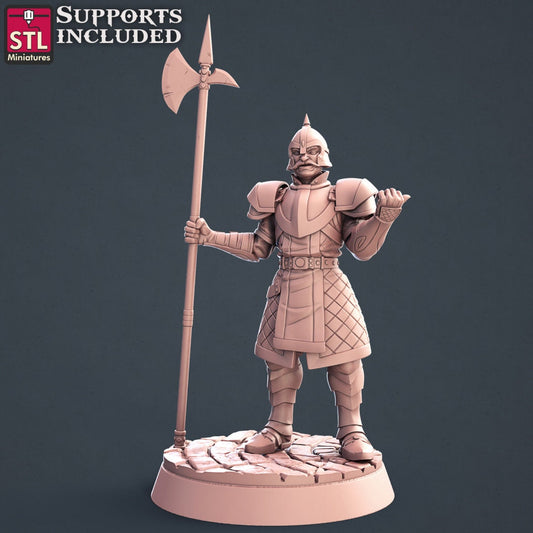City Guard NPC Set | Tabletop Scale | D&D TTRPG Miniature | STL Miniatures
