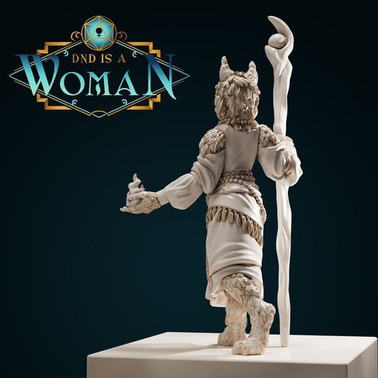 Tabaxi Sorcerer | D&D TTRPG Miniature | DnD Is A Woman | NO BASE