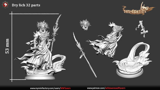 Dry Lich | TTRPG D&D Miniature | White Werewolf Tavern
