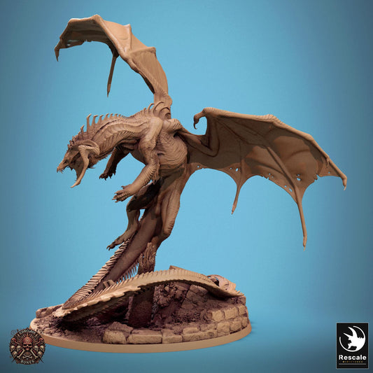 Black Dragon Pack, Chromatic Monster | TABLETOP SCALE | D&D TTRPG Dragon Miniature | Rescale Miniatures