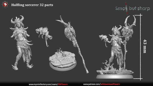 Halfling Sorcerer | TTRPG D&D Miniature | White Werewolf Tavern