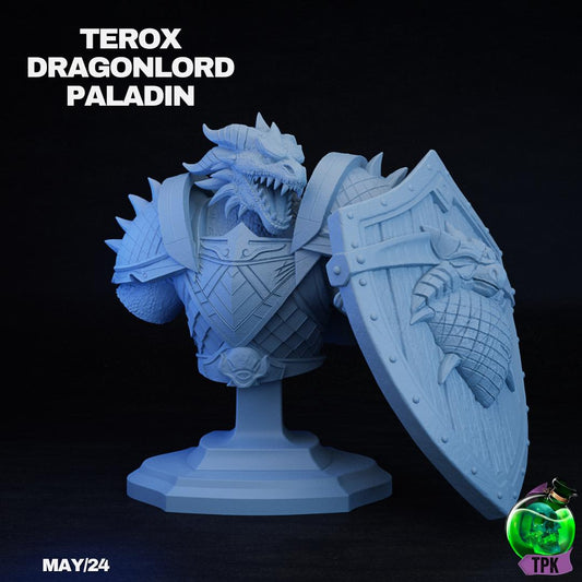 Dragonborn Paladin Terox | Tabletop Gaming Mini or Bust | TPKLab