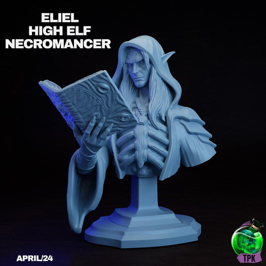 Eliel, High Elf Necromancer Dark Wizard | Tabletop Gaming Miniature or Bust | TPKLab