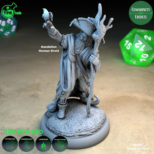Human Druids, Daisy, Dandalion | Tabletop Gaming Miniature | TPKLab