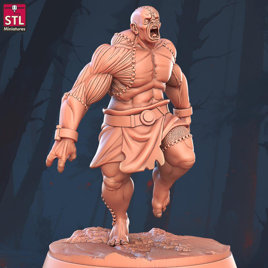 Flesh Golem Monster | Tabletop Scale | D&D TTRPG Miniature | STL Miniatures