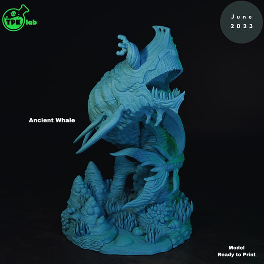 Ancient Whale Huge Underwater Sea Monster | Tabletop Gaming Miniature | TPKLab