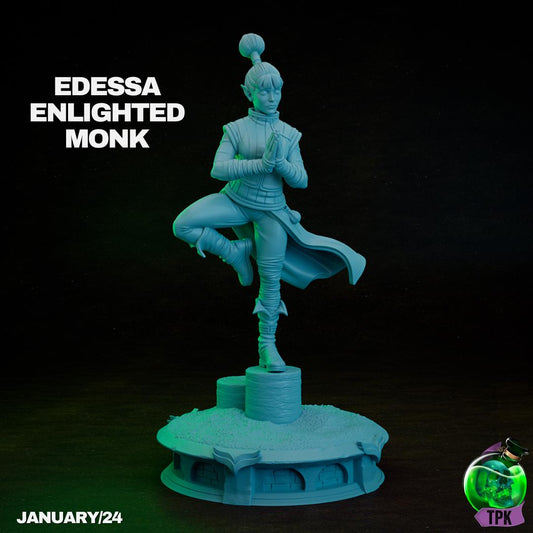 Edessa, Enlightened Monk Elf Martial Artist | Tabletop Gaming Miniature | TPKLab