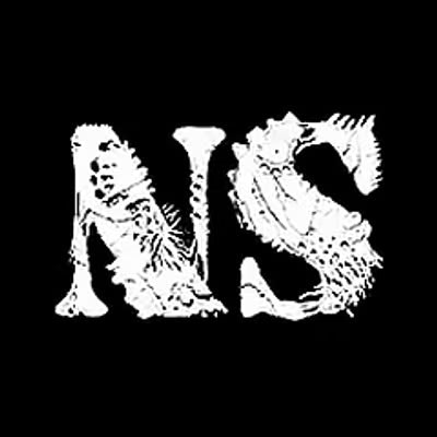 NS Miniatures