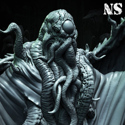 Cult of Cthulhu The Prophet 75mm | Cultist, Lovecraft, Elder God | D&D Cosmic Horror Fantasy | NS Miniatures