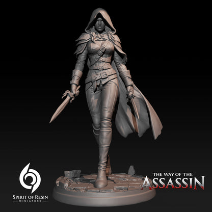 Assassins Collection | Spirit of Resin Miniatures