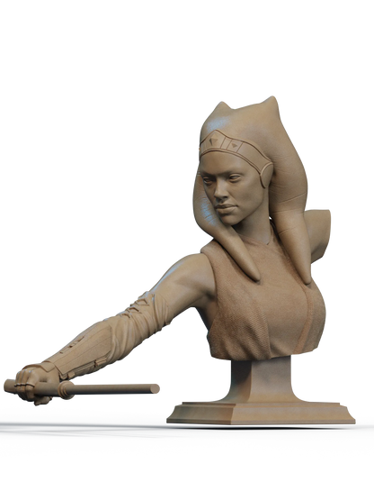 1:12 Survivor of the Fall | 3D Print Resin Garage Kit | CA 3D Studios