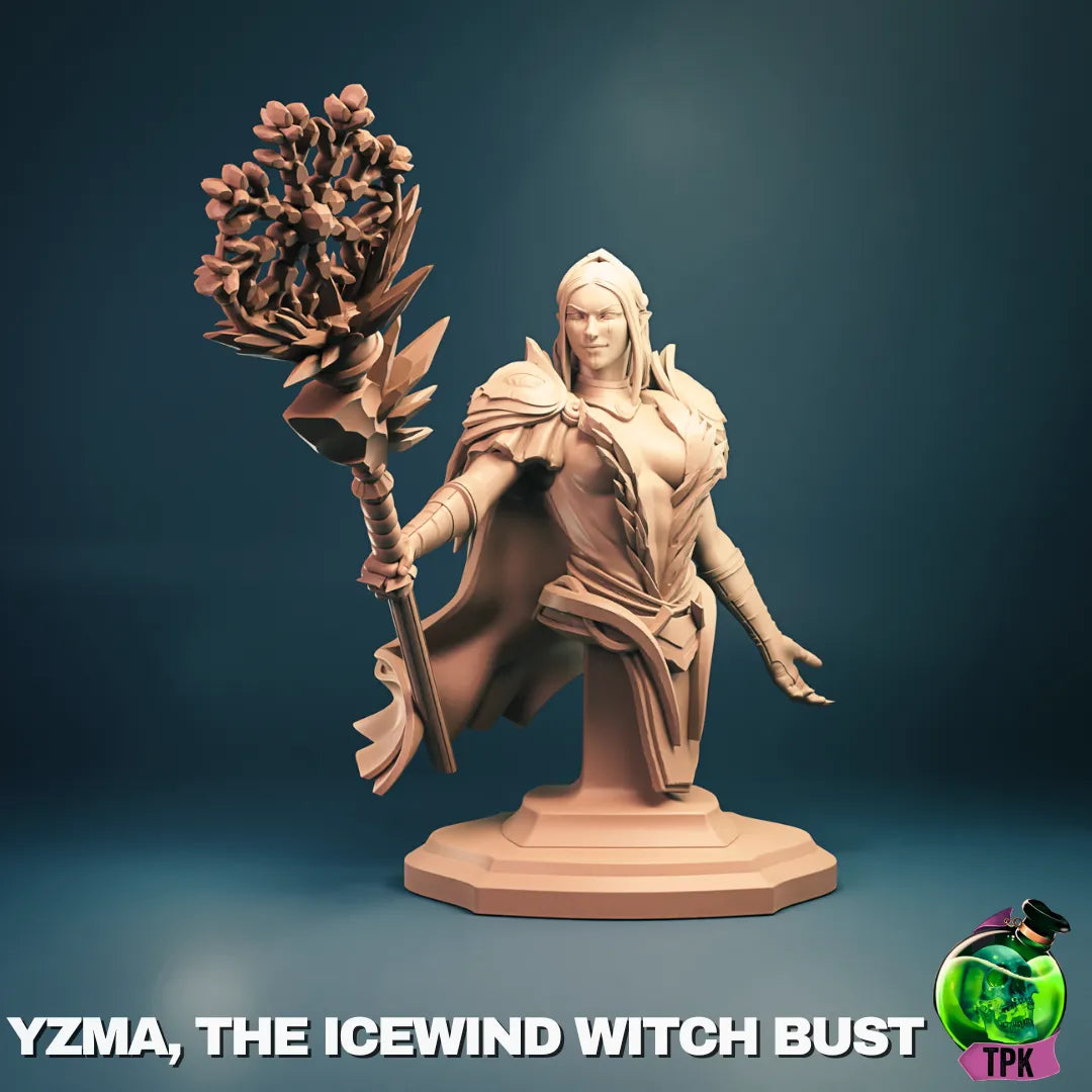 Yzma Icewind Witch miniature tabletop gaming figure by Tattles Told 3D, detailed display or game mini with mystical design.