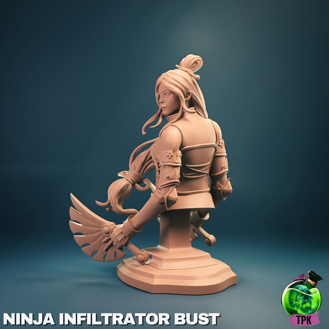 Ninja Infiltrator | Tabletop Gaming Mini or Bust Figure | TPKLab