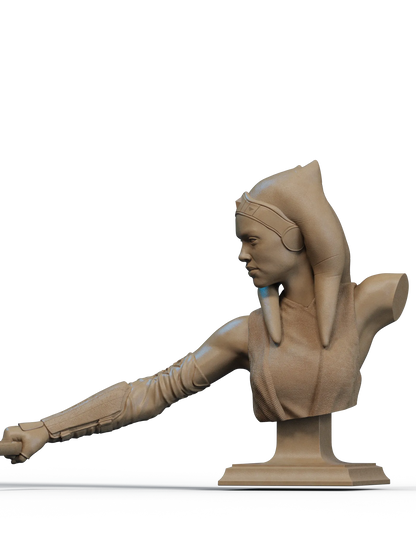 1:12 Survivor of the Fall | 3D Print Resin Garage Kit | CA 3D Studios