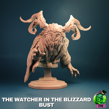 The Watcher in the Blizzard | Tabletop Gaming Mini or Display Figure | TPKLab