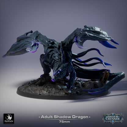 Adult Shadow Dragon | D&D TTRPG Mini | Rescale Miniatures
