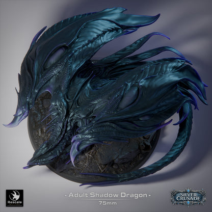 Adult Shadow Dragon | D&D TTRPG Mini | Rescale Miniatures