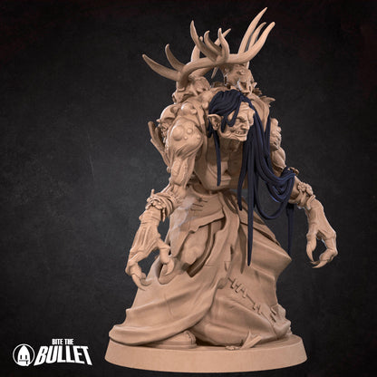 Annis Hag | D&D TTRPG Miniature | Bite the Bullet