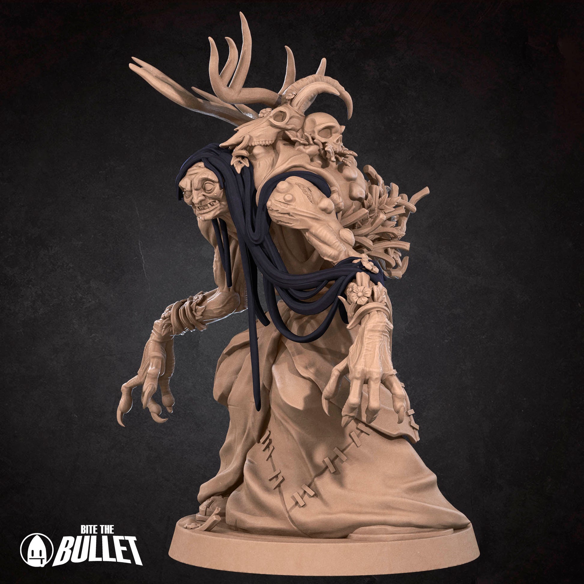 Annis Hag | D&D TTRPG Miniature | Bite the Bullet