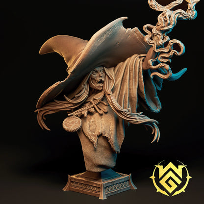 Blight Crone | TTRPG D&D Miniature | The Witchguild