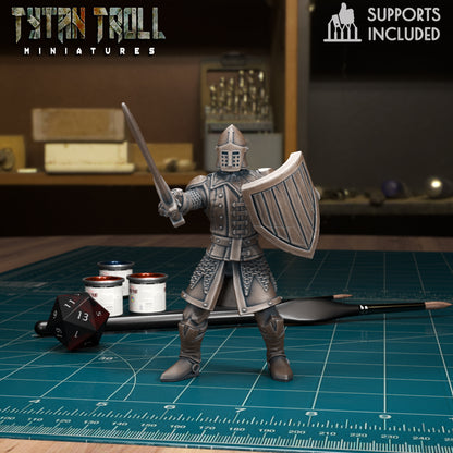 CoS Castle Soldiers | D&D TTRPG Mini | TytanTroll Miniatures