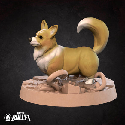 Corgnelius, Corgi Adventurer | D&D Pathfinder TTRPG Miniature | Bite the Bullet