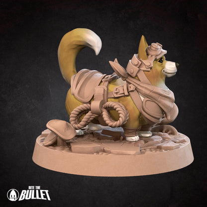 Corgnelius, Corgi Adventurer | D&D Pathfinder TTRPG Miniature | Bite the Bullet