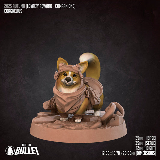 Corgnelius, Corgi Adventurer | D&D Pathfinder TTRPG Miniature | Bite the Bullet