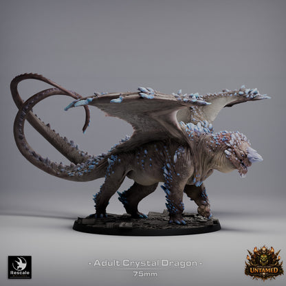 Crystal Dragon | D&D TTRPG Mini | Rescale Miniatures