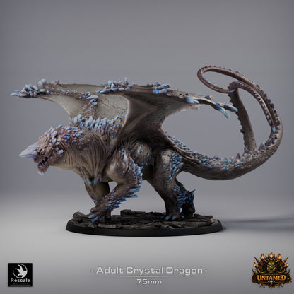 Crystal Dragon | D&D TTRPG Mini | Rescale Miniatures