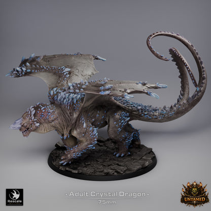 Crystal Dragon | D&D TTRPG Mini | Rescale Miniatures