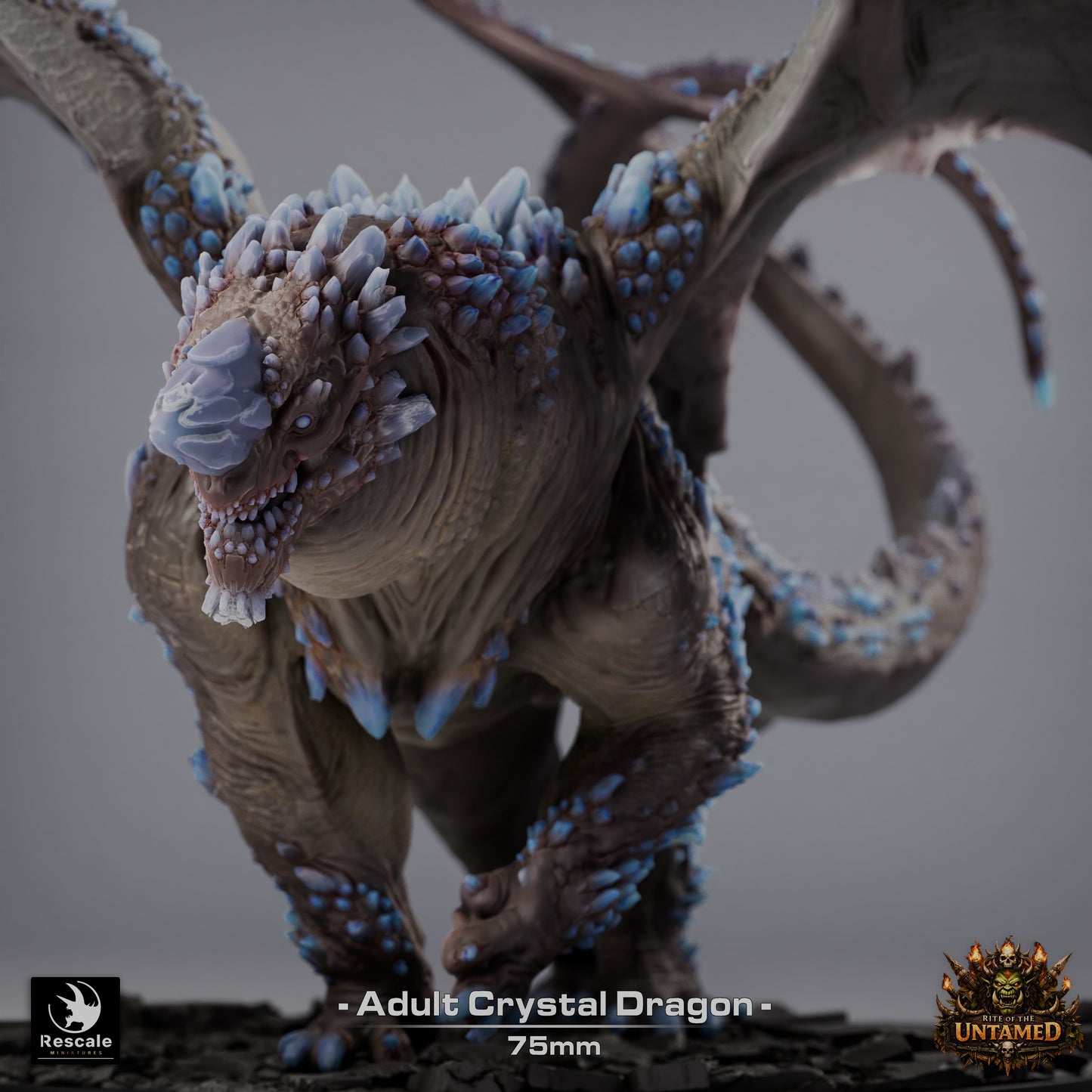 Crystal Dragon | D&D TTRPG Mini | Rescale Miniatures