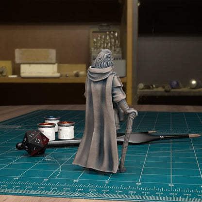 CoS Davian Martkov | D&D TTRPG Mini | TytanTroll Miniatures