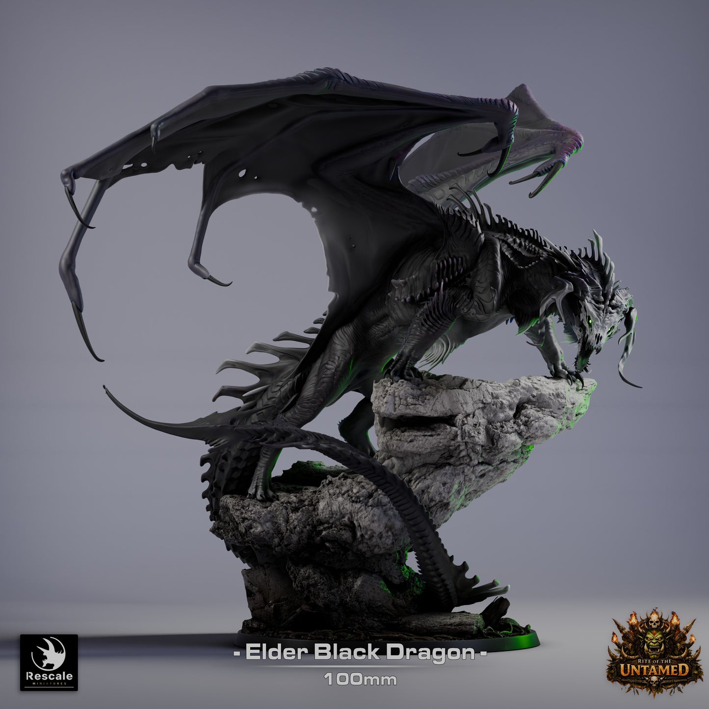 Black Dragon Elder | D&D TTRPG Mini | Rescale Miniatures