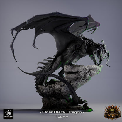 Black Dragon Elder | D&D TTRPG Mini | Rescale Miniatures