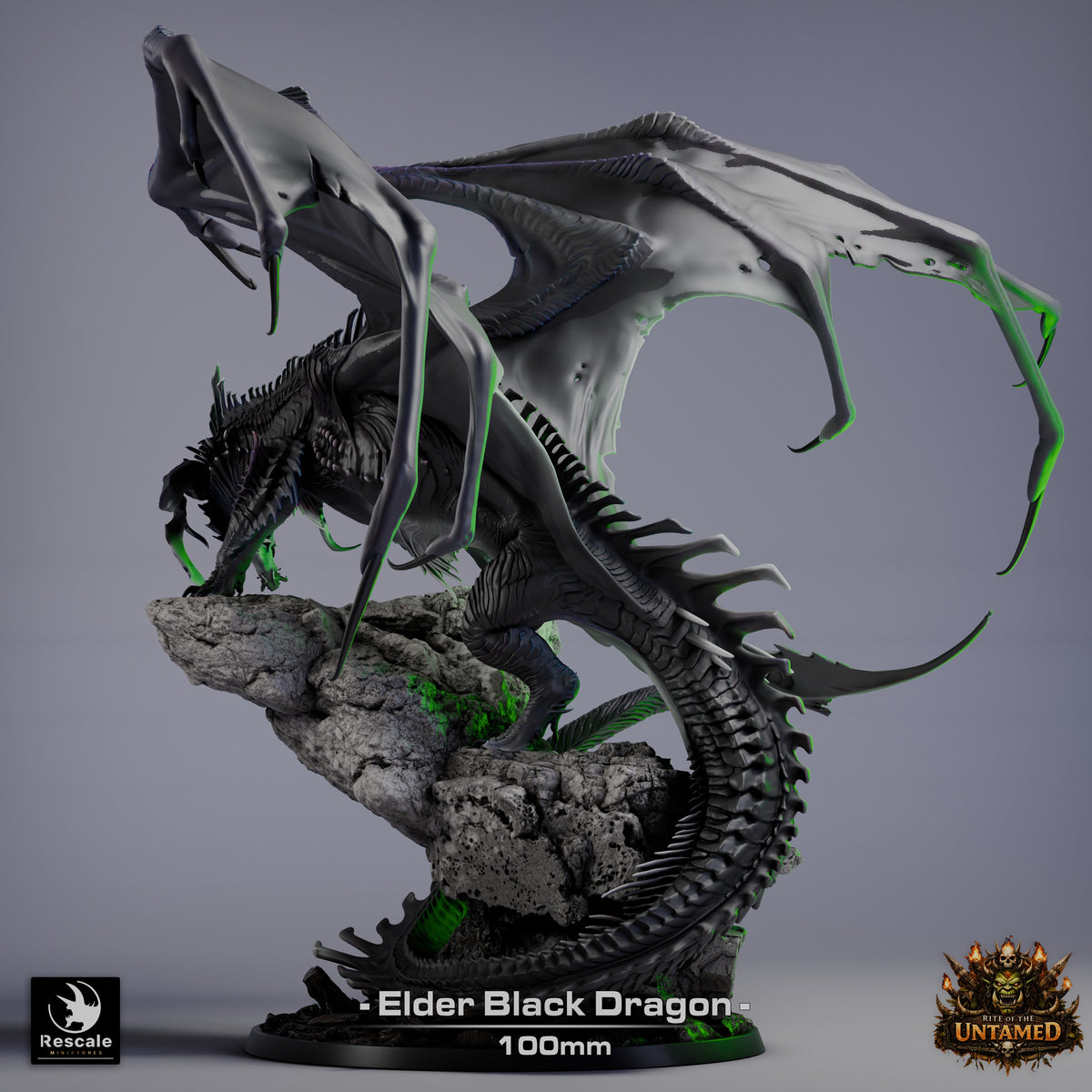 Black Dragon Elder | D&D TTRPG Mini | Rescale Miniatures
