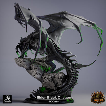 Black Dragon Elder | D&D TTRPG Mini | Rescale Miniatures