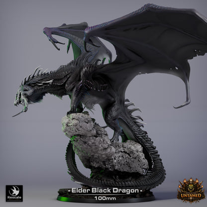 Black Dragon Elder | D&D TTRPG Mini | Rescale Miniatures