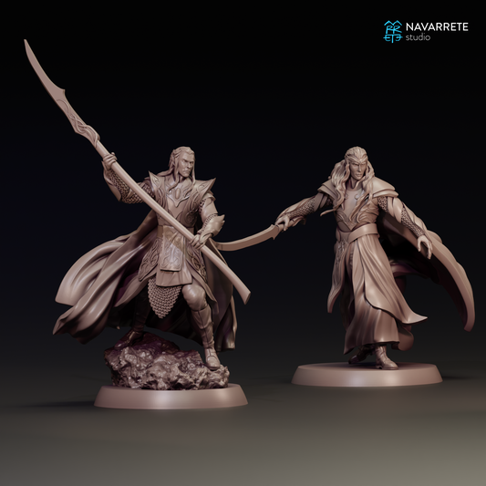 Detailed image of Elf Lords Galdir Elar and Thalionir tabletop gaming miniatures by Tattles Told 3D from Navarrete Studio.