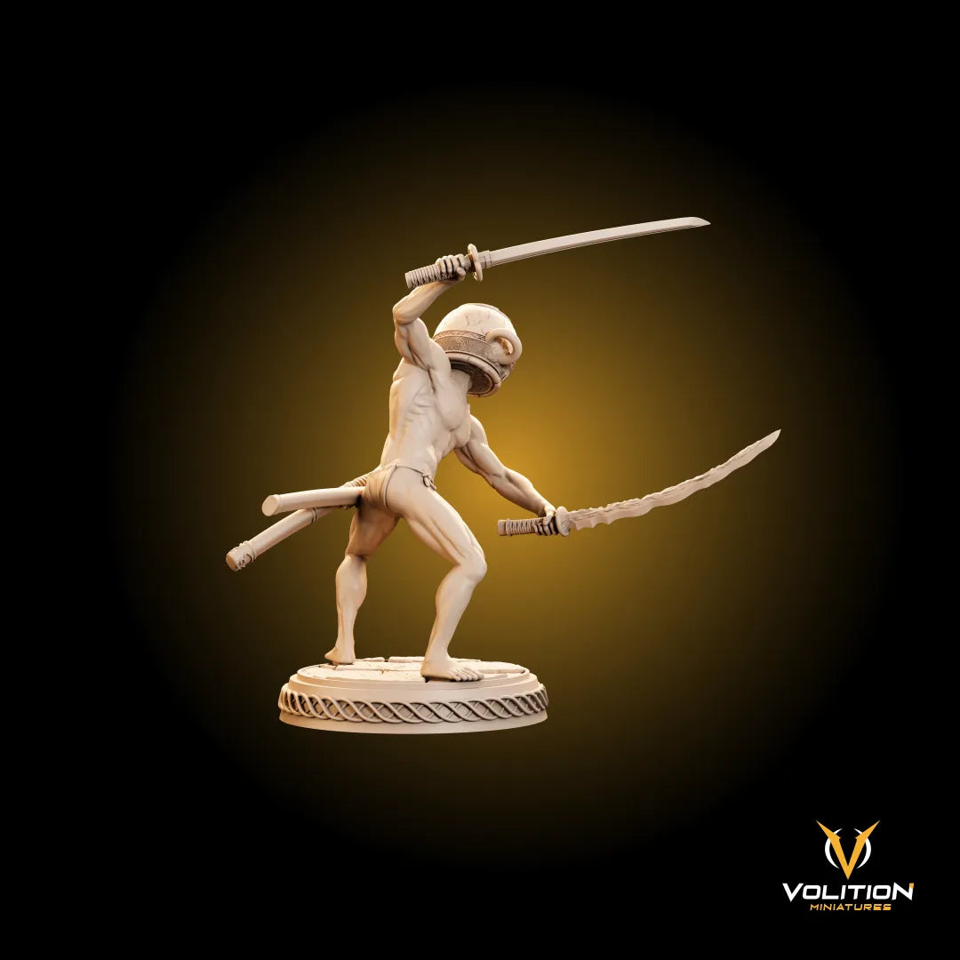 The Legend of Let Me Solo Her | Gaming Miniature TTRPG D&D | Volition Miniatures