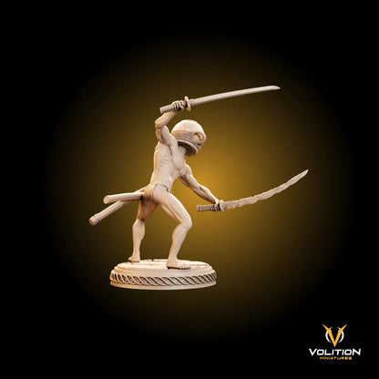 The Legend of Let Me Solo Her | Gaming Miniature TTRPG D&D | Volition Miniatures