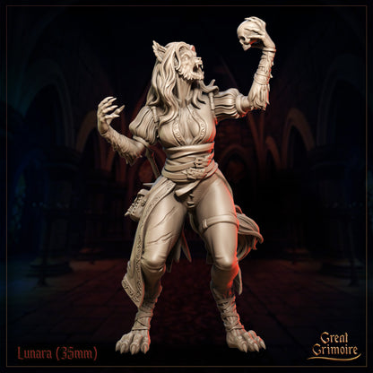 Shadows on the Blood Moon | Tabletop Gaming Miniatures Collection | Great Grimoire