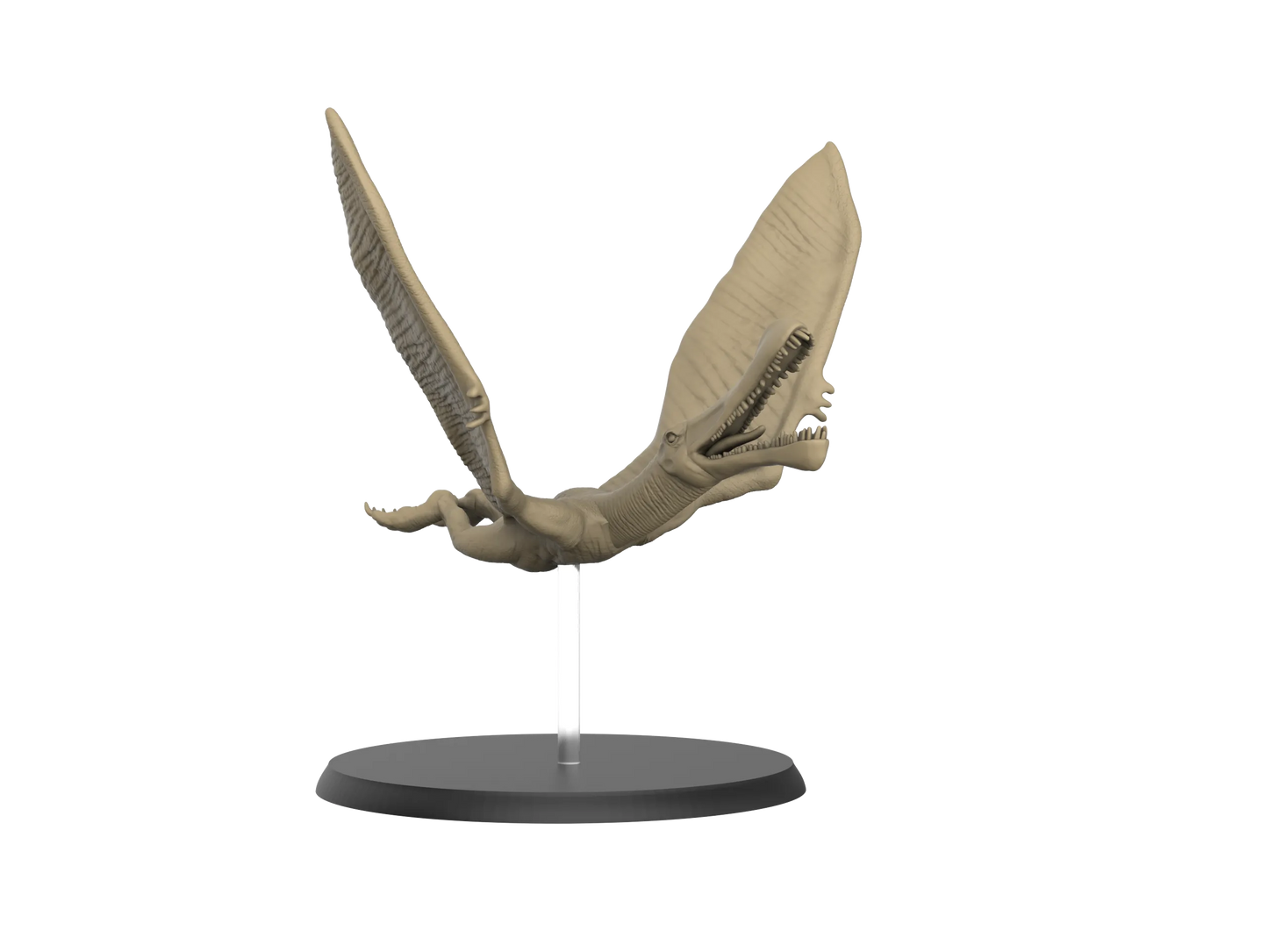 Dinosaurs, Realistic Models, Resin Printed | 32mm Tabletop Scale | 3D IPStudios